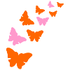 Butterfly, butterflies