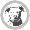 pitbull_head_circled_new