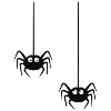 Spinne - Spider - Duo
