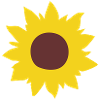 Sunflower, sun, flower, flowers
