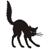 Katzenbuckel