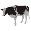 la vache