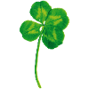 Luck clover