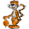 Basketballtiger