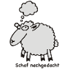 schaf_nachgedacht