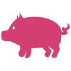 Cochon