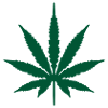 Marijuana Leaf