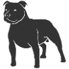 hunde_dogs_pitus