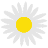 Flower, flowers, rose
