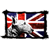 Bull-terrier