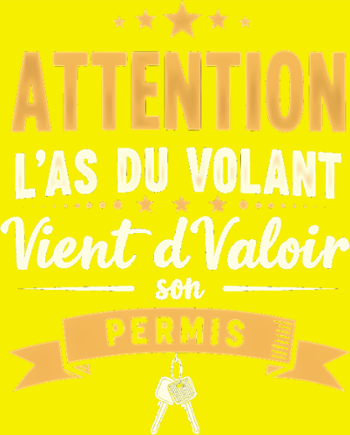 Humour Jeune Conducteur - Mon Permis en Poche