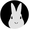 Kaninchen | Hase | Rabbit