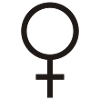 Woman - Women - Female - Shirt