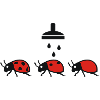 Marienkaefer