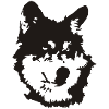 Dog / wolf