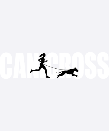 Canicross Chien