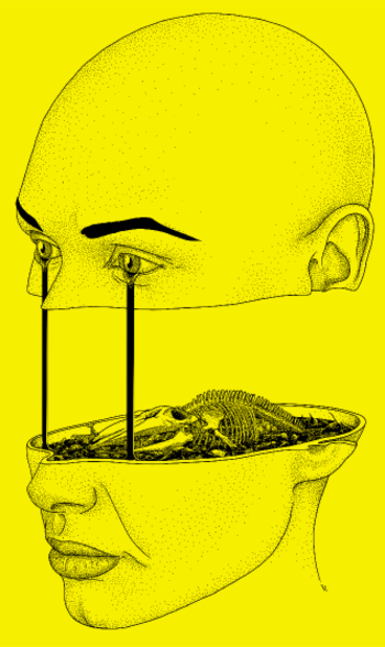 Marée Noire : Spleen Pétrole