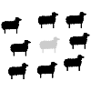 weißes Schaf