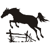 Springendes Pferd