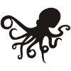 octopus