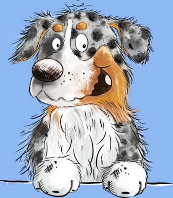 Berger Australien Blue Merle Drôle et Amusant
