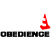 Obedience mit Pylone