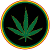 Cannabis