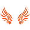 ailes d'ange