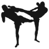 Thai High Kick Silhouette