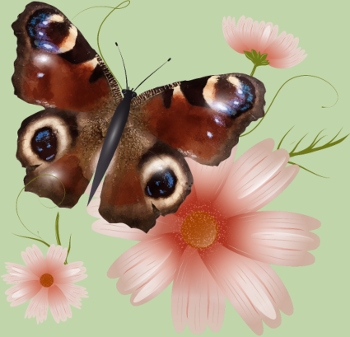 Papillon Paon-du-Jour Éclatant de Roses