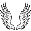 angel wings
