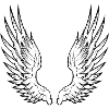 angel wings