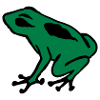 Frog GA