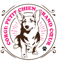 Motif corgi