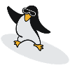 Pingouin surfeur / Surfer Penguin (3c)