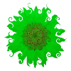 Sonnenblume