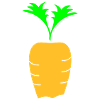 Carrot inserted in the soil