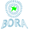 polynesian skildpadde tatovering Bora Bora