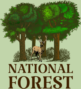 Célébrez la beauté et la grandeur des forêts nationales avec cet emblème iconique. Un cerf majestueux se dresse devant des arbres luxuriants...