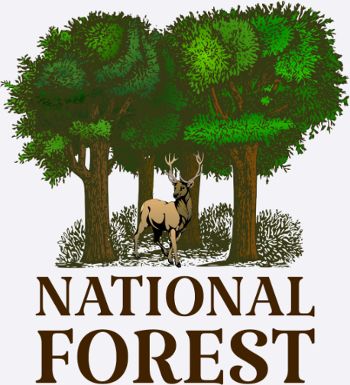 National Forest