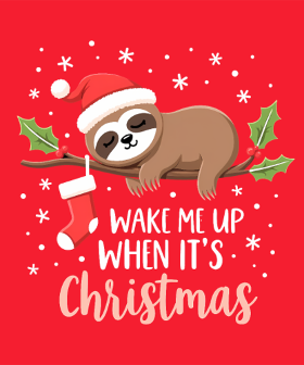 Le t-shirt parfait pour les fans de paresseux et de Noël ! "Réveille-moi quand c'est Noël" : un cadeau humoristique et adorable pour les fêt...