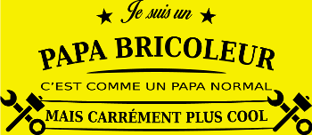 Papa Bricoleur Expert