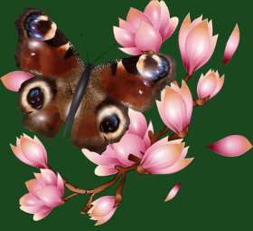 Motif Papillon Paon et Magnolia Rose : Élégance Naturelle personnalisé sur vêtement