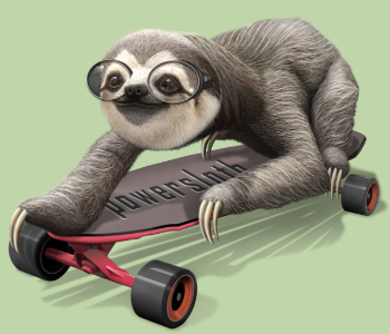 Paresseux Skateur Stylé