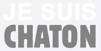 Je suis chaton