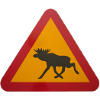 Warnschild Elch
