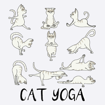 Katzen Yoga Fitness - Mantra - Karma - Miau - Cat