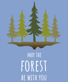 Motif Forêt Mystique Sylvestre personnalisé sur vêtement
