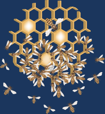 Nid d'Abeille Géométrique : Nature & Harmonie