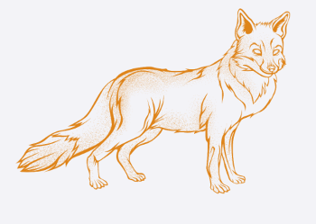 Fuchs